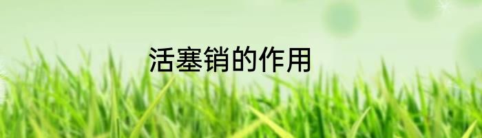活塞销的作用