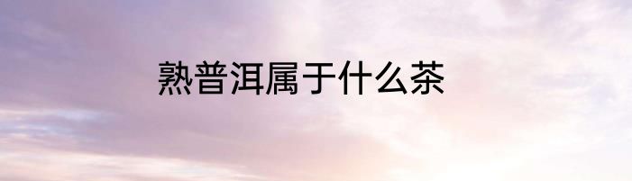 熟普洱属于什么茶