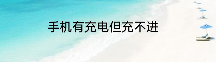 手机有充电但充不进