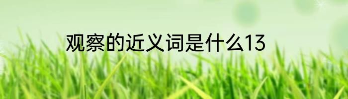 观察的近义词是什么13