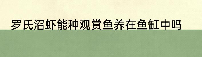 罗氏沼虾能种观赏鱼养在鱼缸中吗