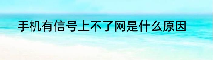 手机有信号上不了网是什么原因