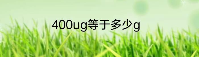 400ug等于多少g