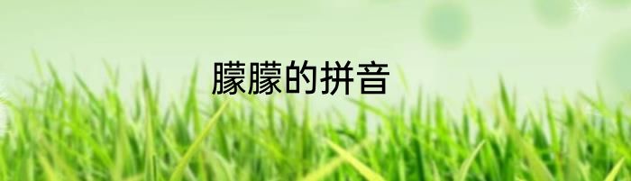 朦朦的拼音