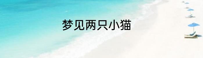 梦见两只小猫