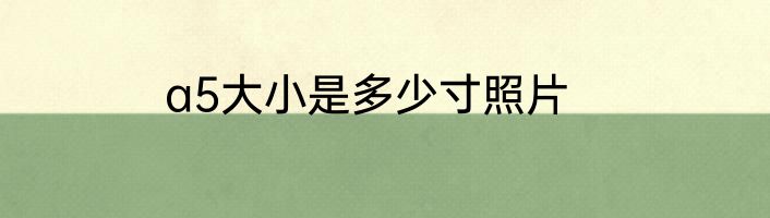 a5大小是多少寸照片