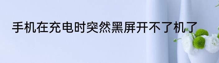 手机在充电时突然黑屏开不了机了