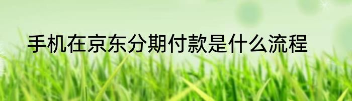 手机在京东分期付款是什么流程
