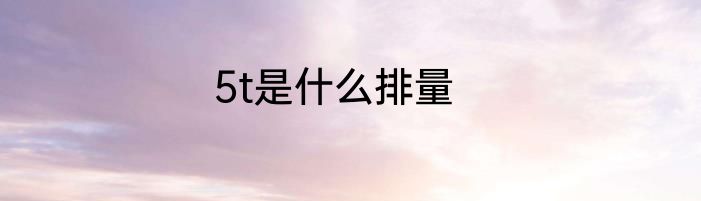 5t是什么排量