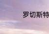 罗切斯特的庄园叫什么