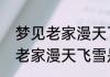 梦见老家漫天飞雪有什么寓意呢梦见老家漫天飞雪是什么