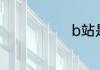 b站是什么东西