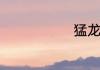 猛龙电影剧情