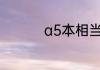 a5本相当于多少开的本