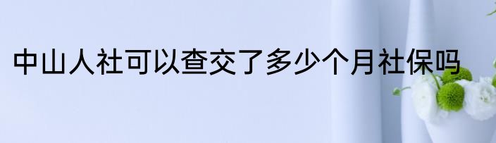 中山人社可以查交了多少个月社保吗