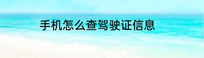 手机怎么查驾驶证信息