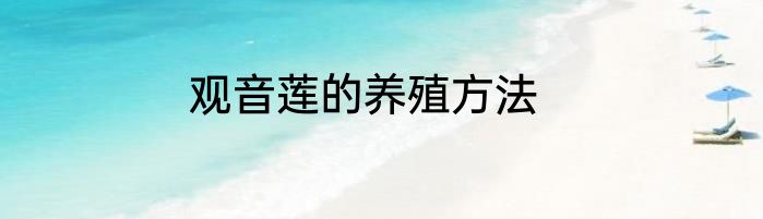 观音莲的养殖方法