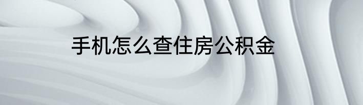 手机怎么查住房公积金