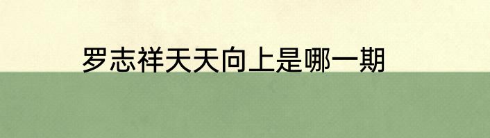 罗志祥天天向上是哪一期