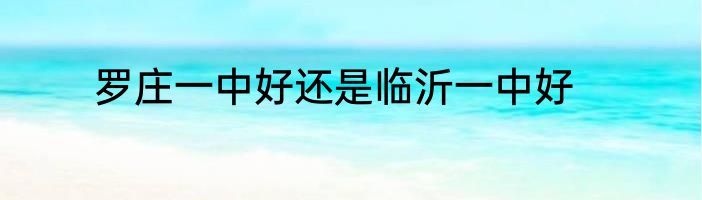 罗庄一中好还是临沂一中好