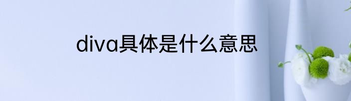 diva具体是什么意思