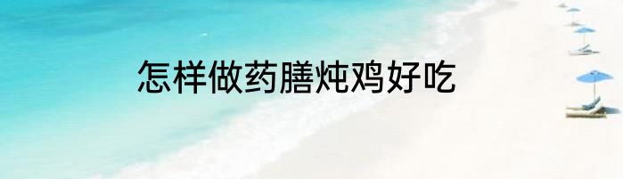 怎样做药膳炖鸡好吃