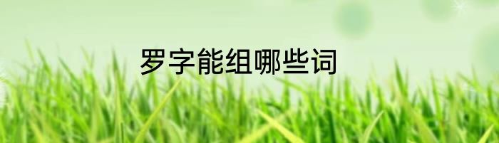 罗字能组哪些词