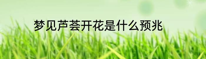 梦见芦荟开花是什么预兆