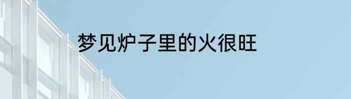 梦见炉子里的火很旺