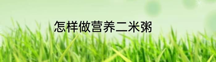 怎样做营养二米粥