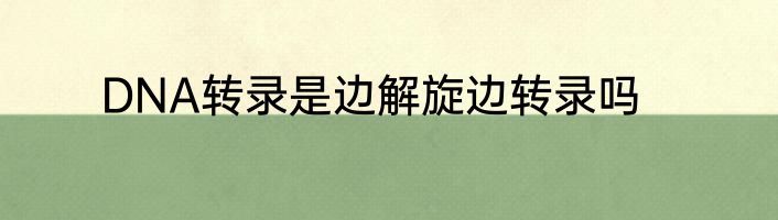 DNA转录是边解旋边转录吗