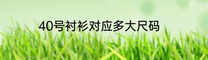 40号衬衫对应多大尺码