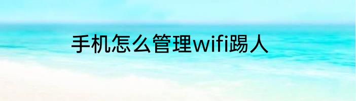 手机怎么管理wifi踢人