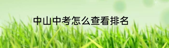 中山中考怎么查看排名