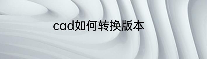 cad如何转换版本
