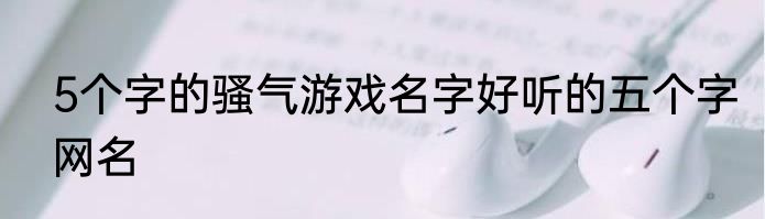 5个字的骚气游戏名字好听的五个字网名