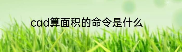 cad算面积的命令是什么