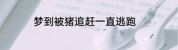 梦到被猪追赶一直逃跑