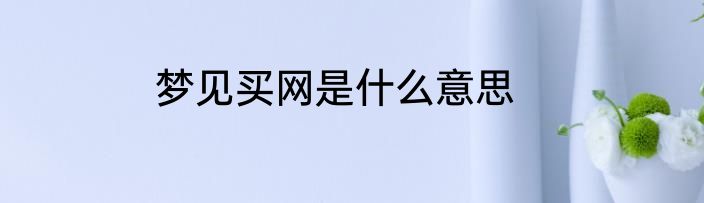 梦见买网是什么意思