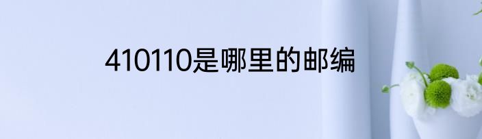 410110是哪里的邮编