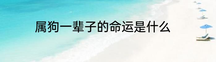 属狗一辈子的命运是什么