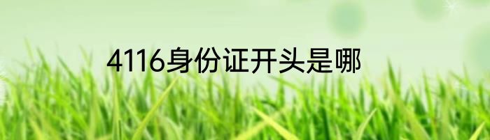 4116身份证开头是哪