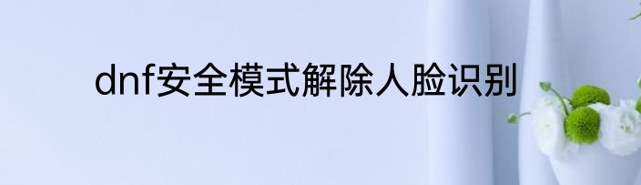dnf安全模式解除人脸识别