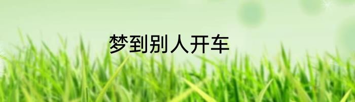 梦到别人开车