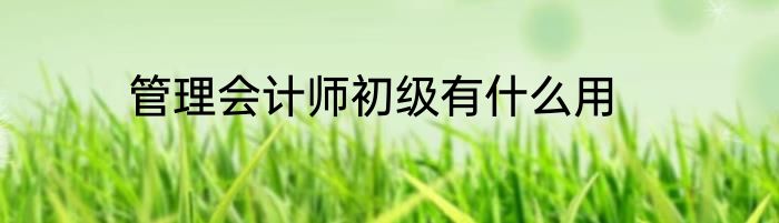 管理会计师初级有什么用