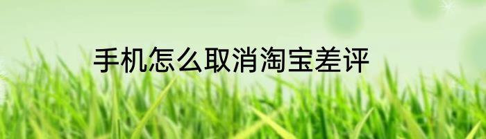 手机怎么取消淘宝差评