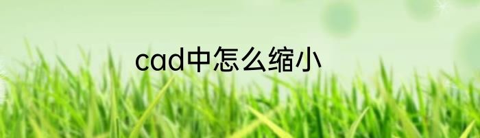cad中怎么缩小