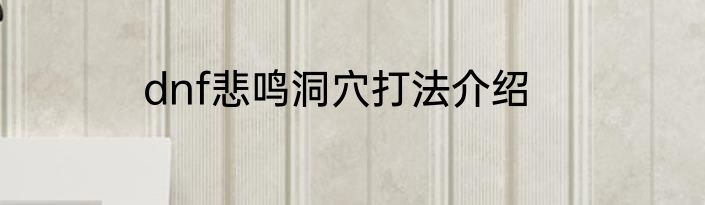 dnf悲鸣洞穴打法介绍