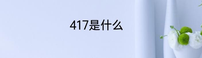 417是什么