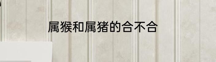 属猴和属猪的合不合